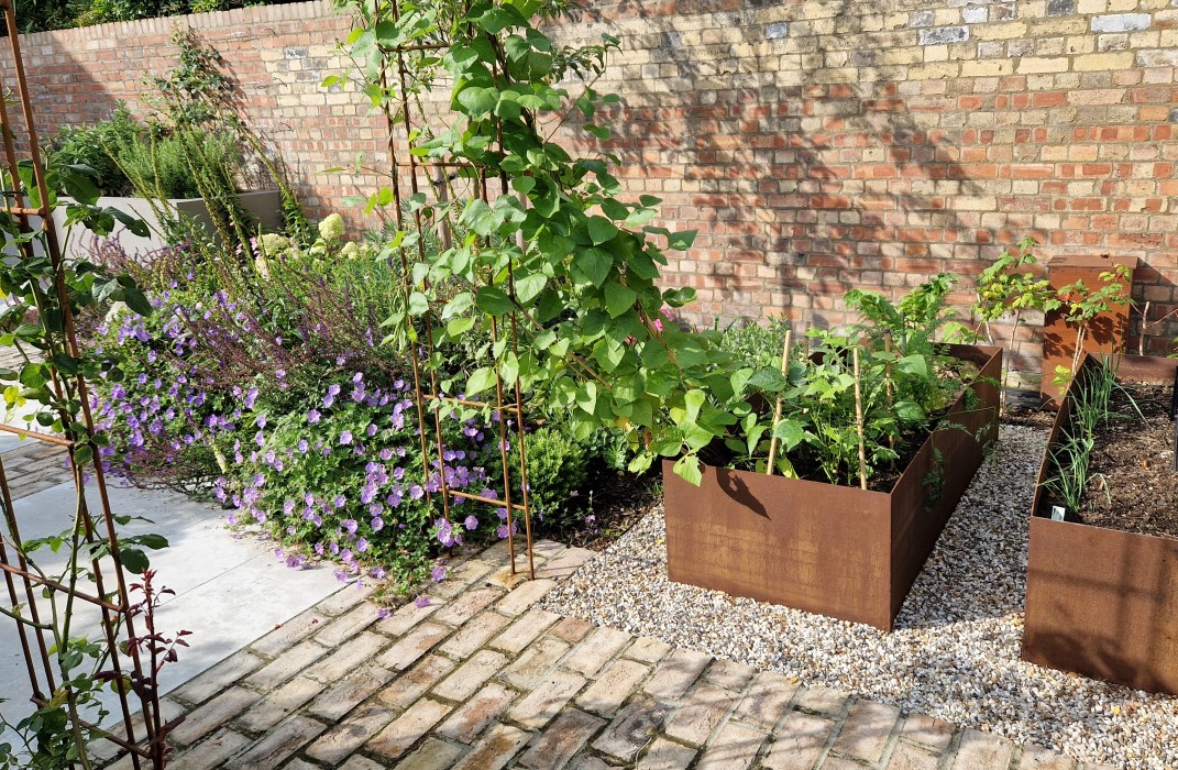 Veg garden area